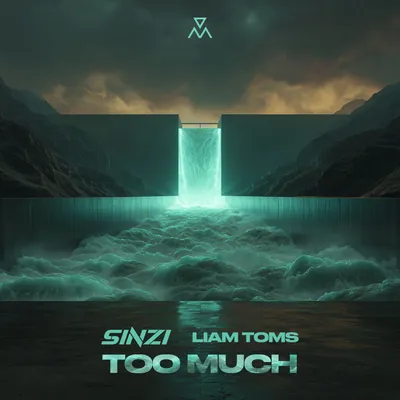 Sinzi, Liam Toms - Too Much
