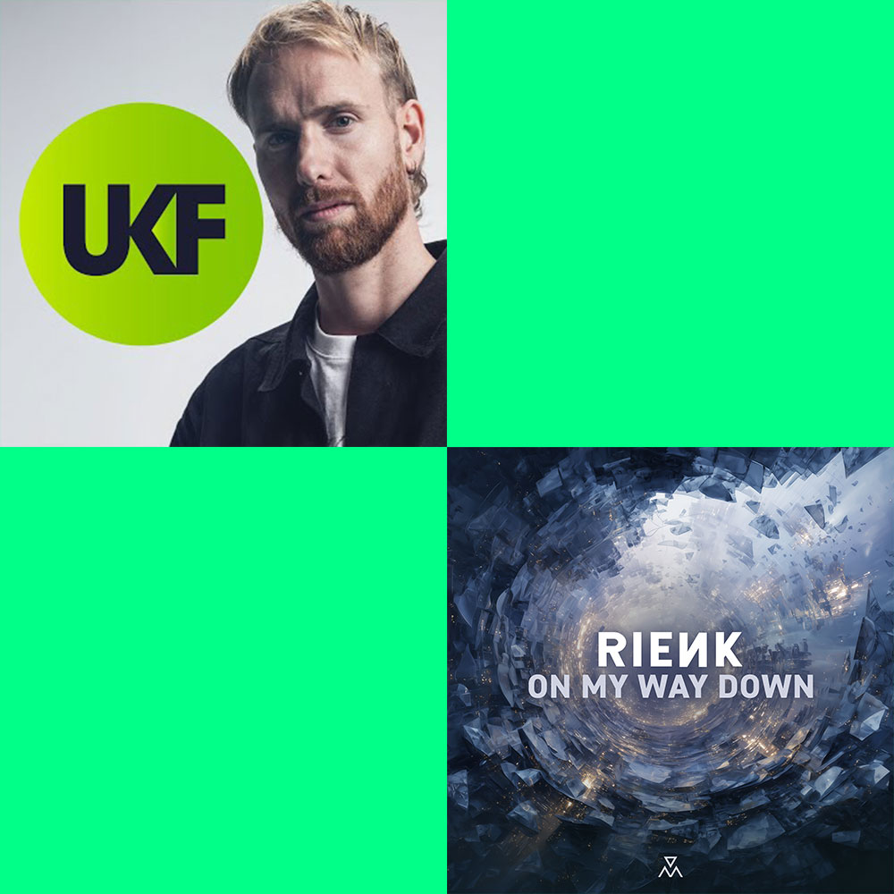 RIENK - On My Way Down